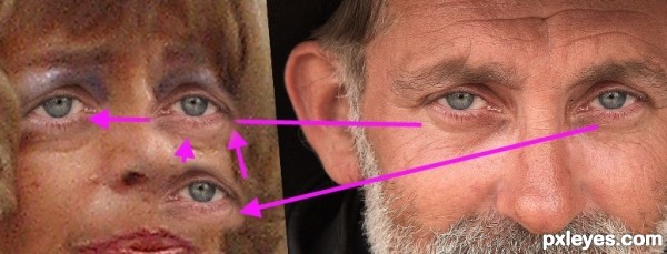 Creation of Papa Fossil's Secret Life: Step 2