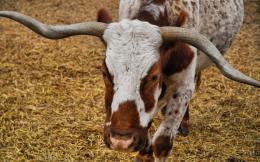 MooveIt