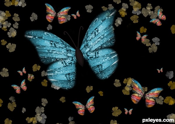 Creation of Butterfly flutter: Final Result