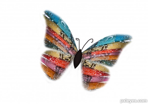 Creation of Butterfly flutter: Step 2