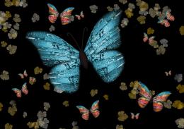 Butterflyflutter