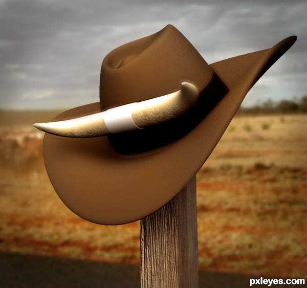 Creation of Cowboy Hat: Final Result