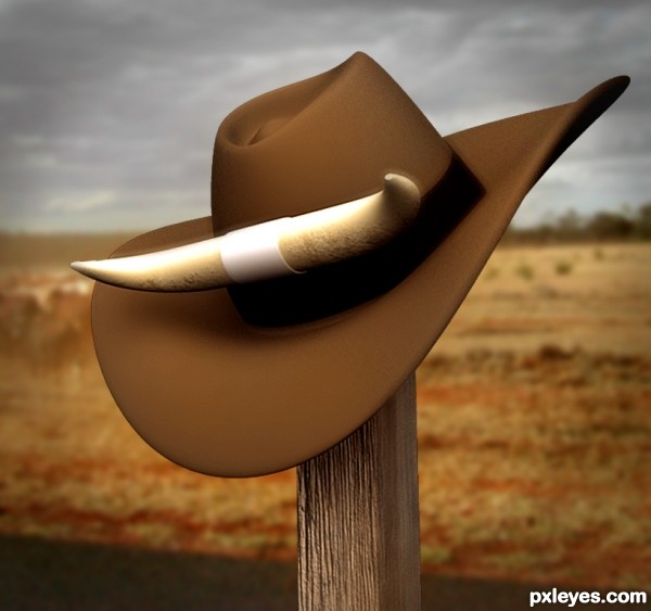 Cowboy Hat