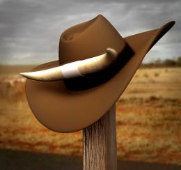 Cowboy Hat