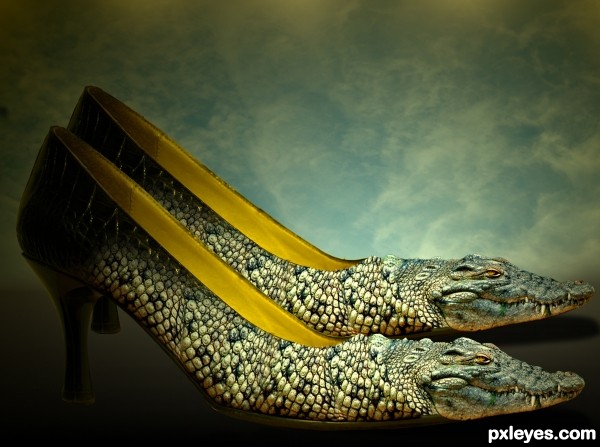 New Lacoste  photoshop picture)