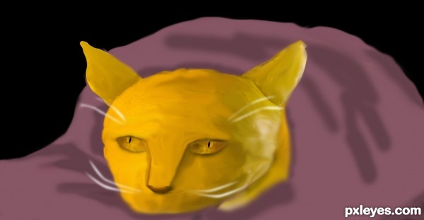 Lemon Cat