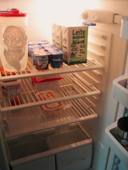 Fridge