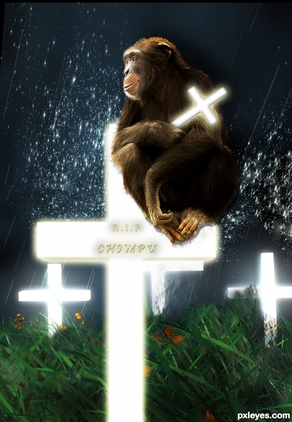 Creation of My Dear Chimpu!!: Step 1