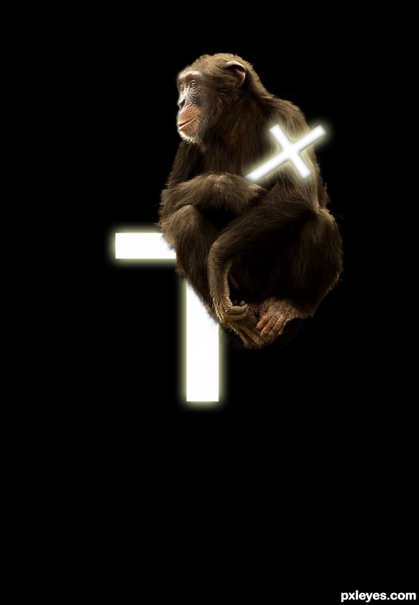Creation of My Dear Chimpu!!: Step 3