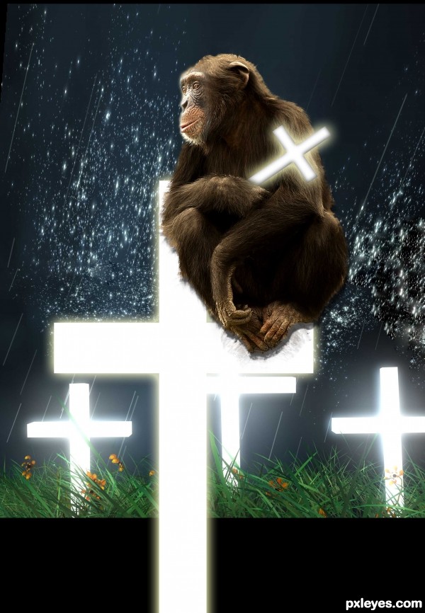 Creation of My Dear Chimpu!!: Step 4