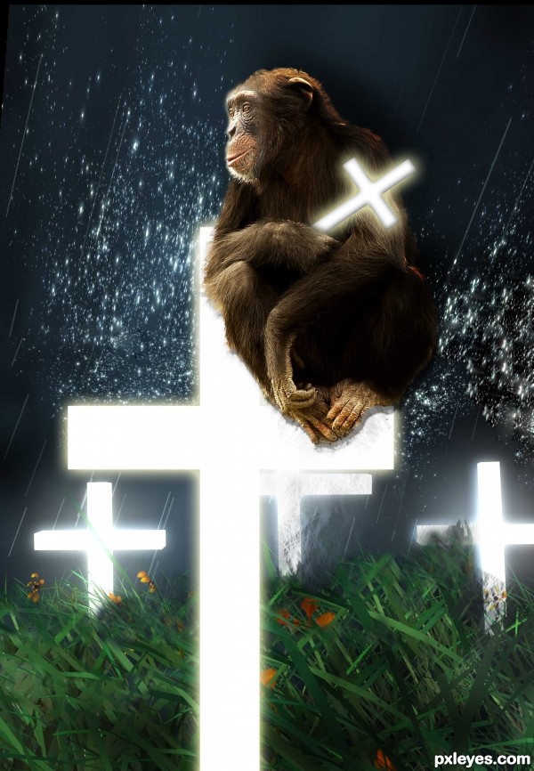 Creation of My Dear Chimpu!!: Step 5