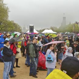 wet crowd Picture