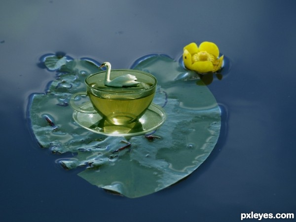 cup in lotus