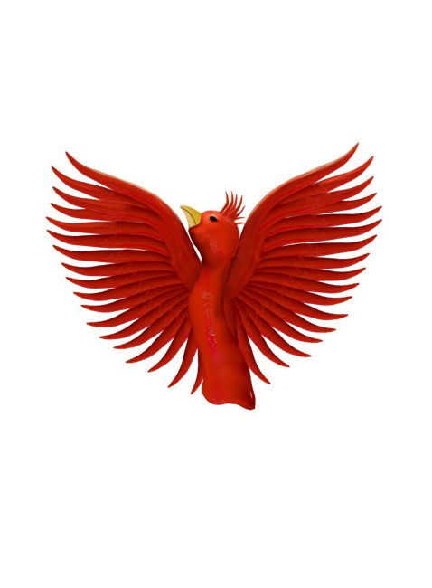Creation of Phoenix Rising: Step 5