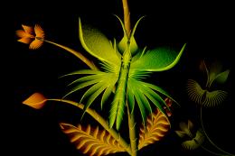 Dragonfly2012