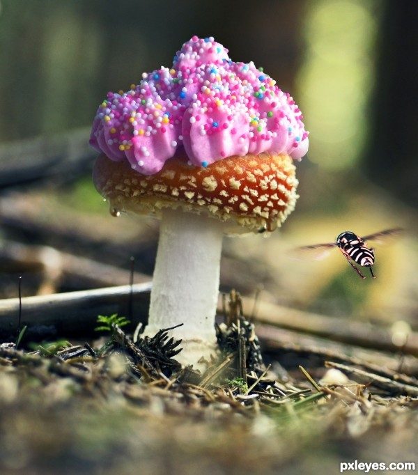 Mushroom