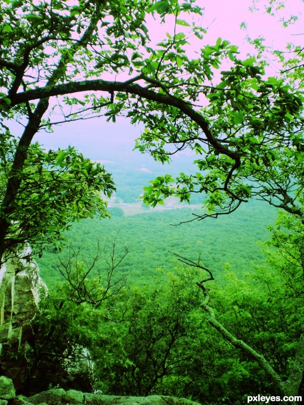 north carolina