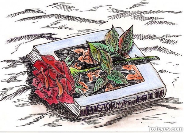 Creation of Book & Rose: Step 3