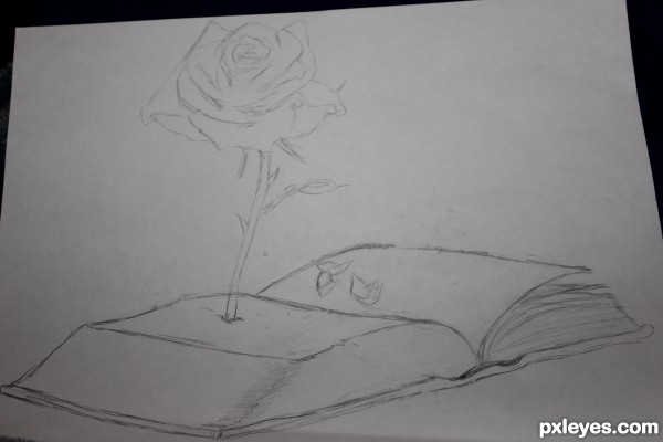 Creation of Growing Rose: Step 2