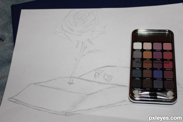 Creation of Growing Rose: Step 3