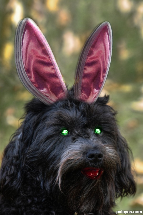 Zombie Puppy being Bunny