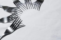 Fork Shadows