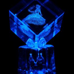 Ladyinblue