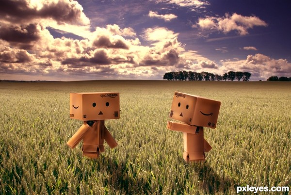 Danbo love