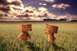 Danbo love