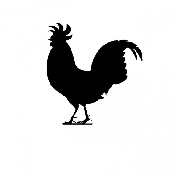 chicken silhouette clip art - photo #15