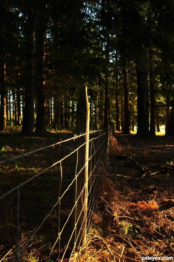 Fenceline