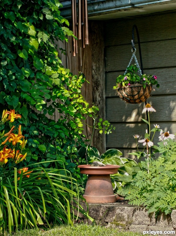 Garden Shade