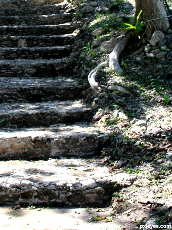 Mayan Steps