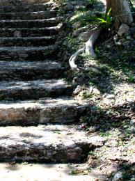Mayan Steps