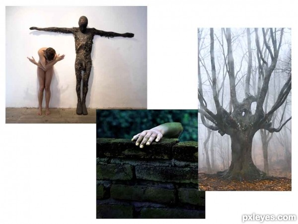 Creation of The tree: Step 1