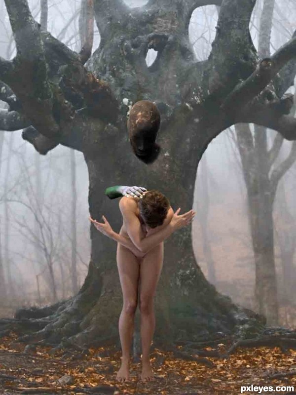Creation of The tree: Step 6