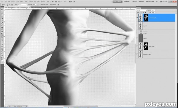 Creation of Self Delusion Illusion: Step 5