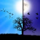 day and night photography contest