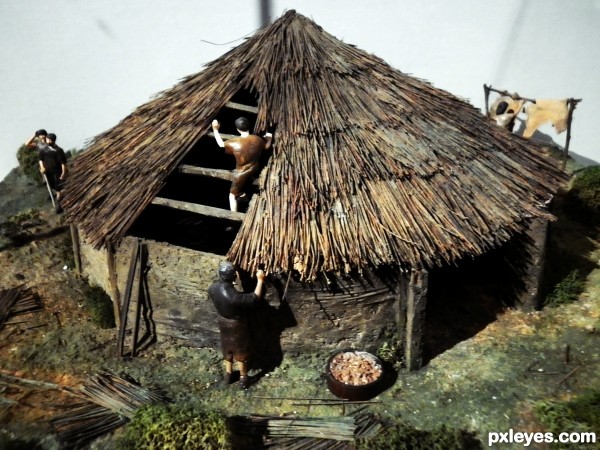 Early Medieval Life