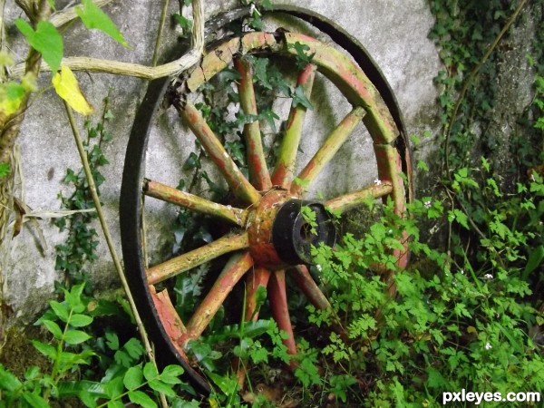 Grandfathers old carriage wheel