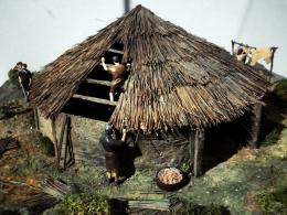 Early Medieval Life