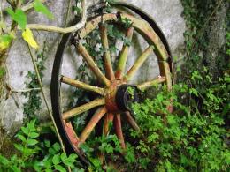 Grandfathers old carriage wheel