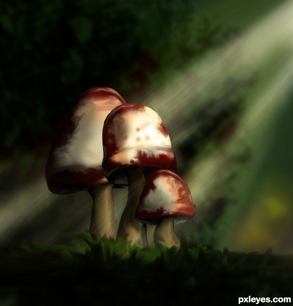 Mushroons - Concept