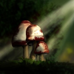 Mushroons - Concept Picture