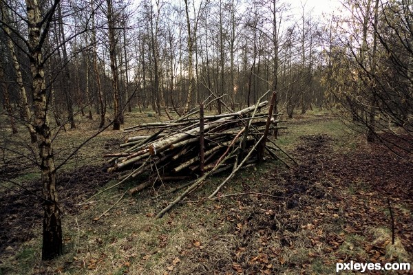 Boggart hole clough in winter