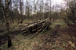 Boggart hole clough in winter Picture