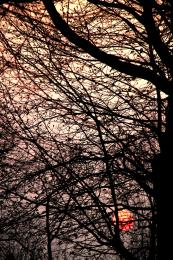 WinterSunset