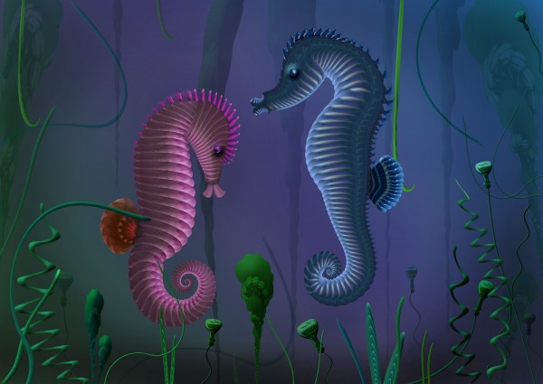 Creation of Sea Horses: Final Result