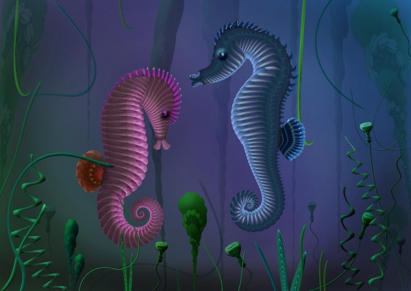 Sea Horses photoshop picture