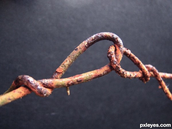 linked to rust
